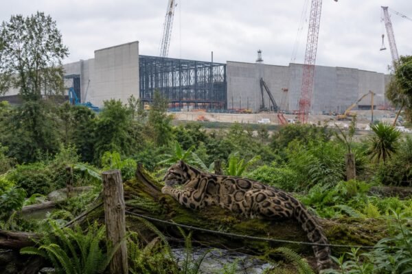 nashvillezoodatacenterfight image1