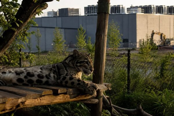nashvillezoodatacenterpetition image1