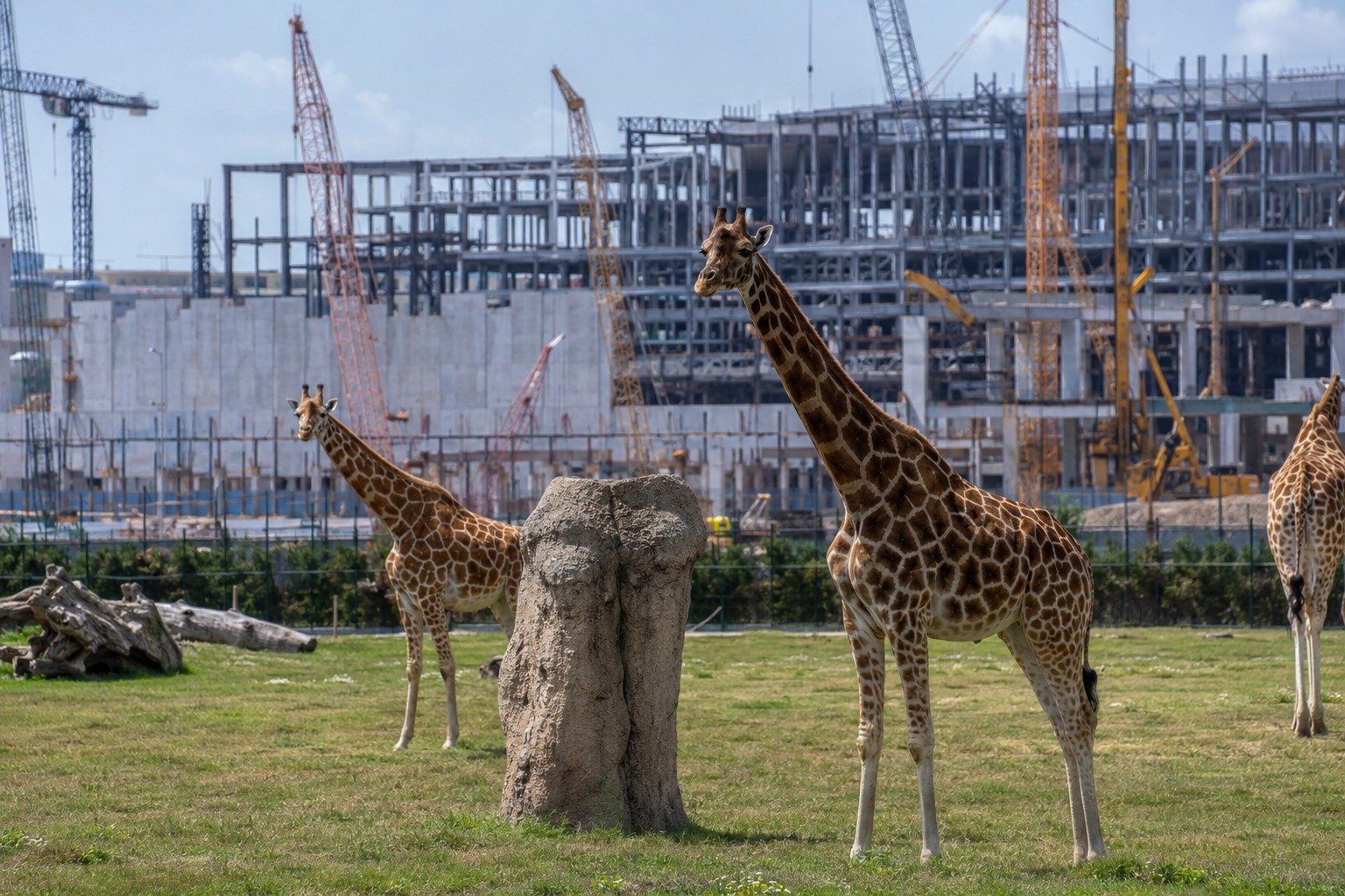 nashvillezoodatacenter image1