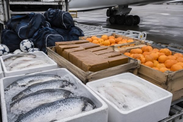 norwayworldcupfood1000lbs image1