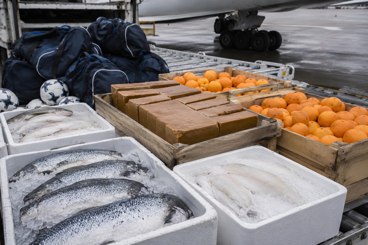 norwayworldcupfood1000lbs image1