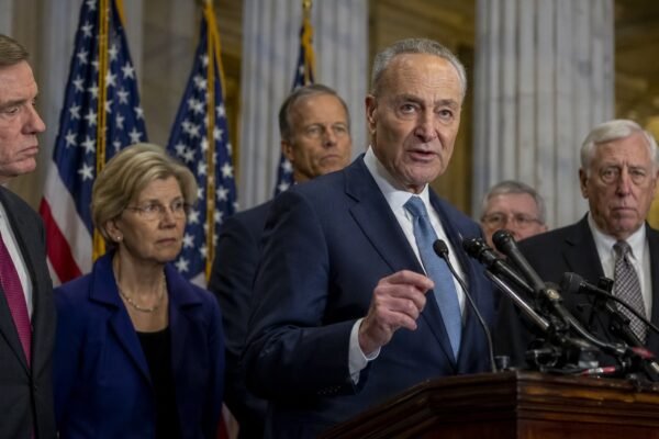 senatedemsstrippresidentialimmunity image1