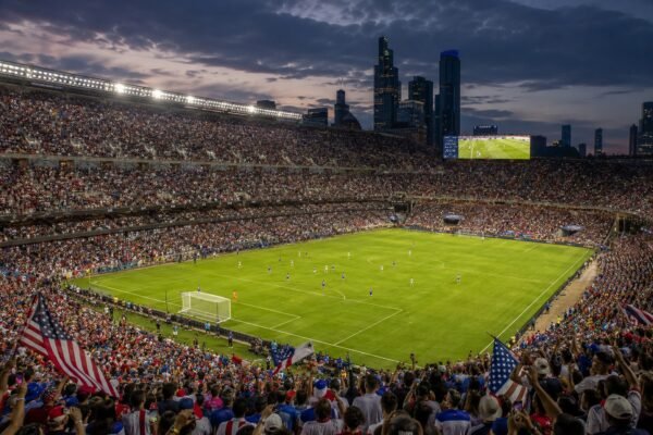 worldcuppollhalfnotinterested image1