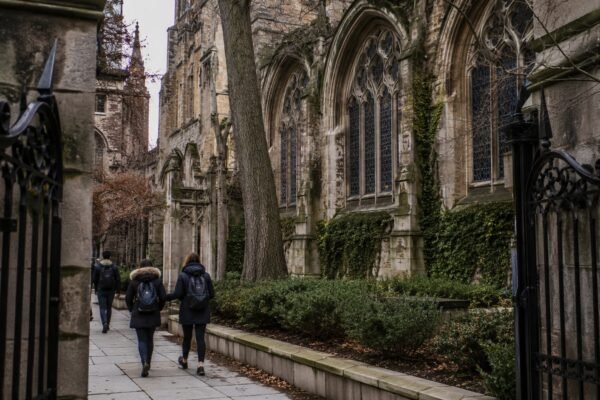yaleseekstrumpdealadmissions image1