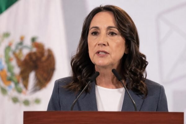 sheinbaummexicoicehoustoncharges image1