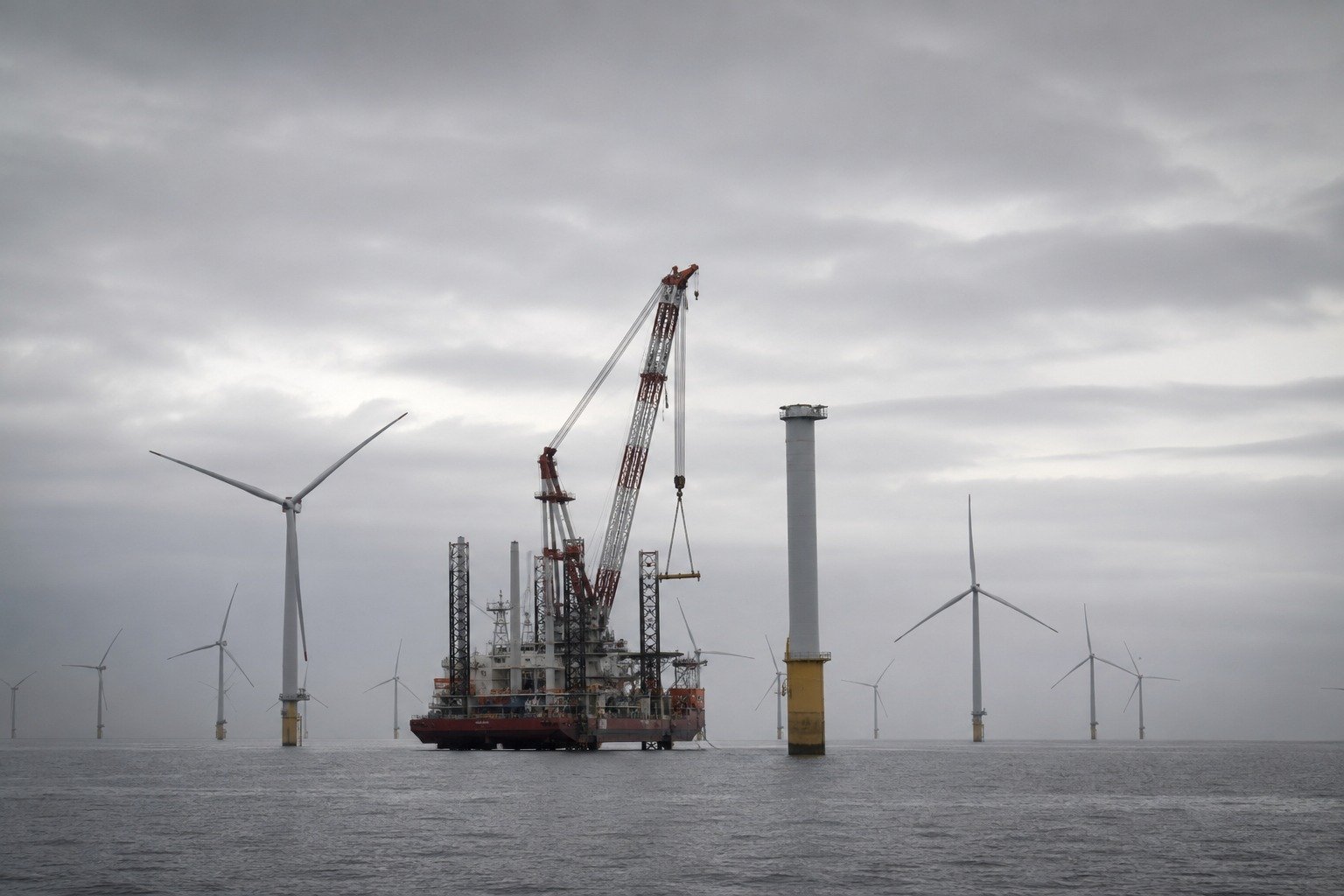 trumpwindhaltgermanpayout image1